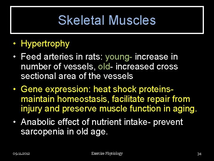 Skeletal Muscles • Hypertrophy • Feed arteries in rats: young- increase in number of