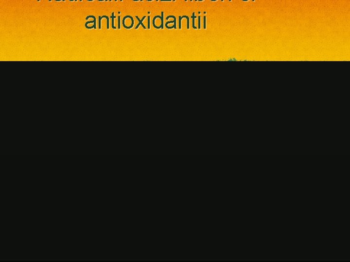 Radicalii acizi liberi si antioxidantii 