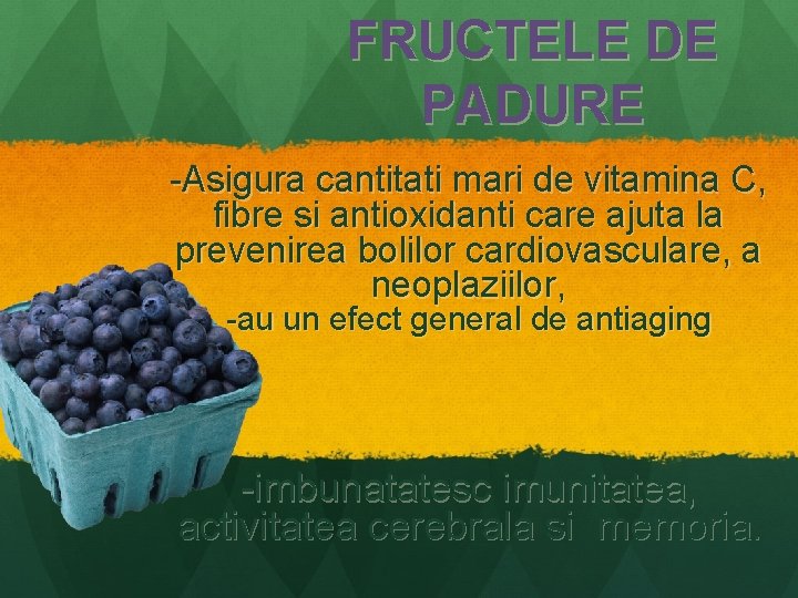 FRUCTELE DE PADURE -Asigura cantitati mari de vitamina C, fibre si antioxidanti care ajuta