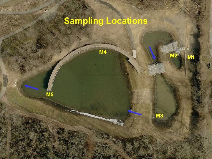 Sampling Locations M 4 M 2 M 5 M 3 M 1 