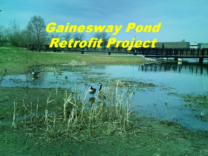 Gainesway Pond Retrofit Project 