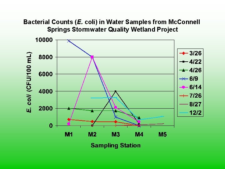 Bacterial Counts (E. coli) in Water Samples from Mc. Connell Springs Stormwater Quality Wetland