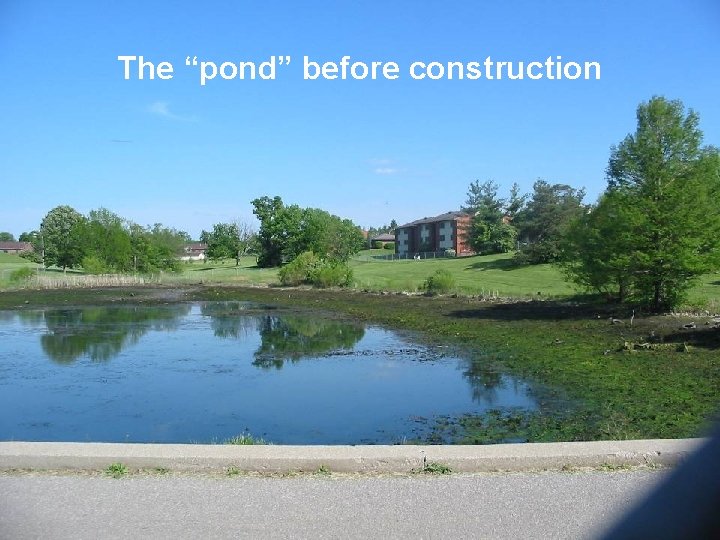 The “pond” before construction 
