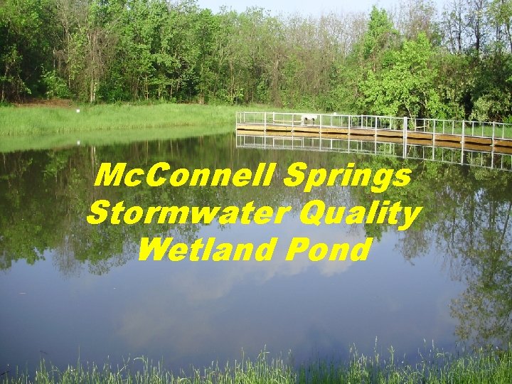 Mc. Connell Springs Stormwater Quality Wetland Pond 