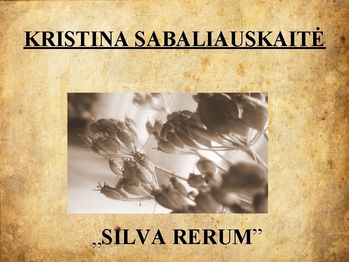 KRISTINA SABALIAUSKAITĖ „SILVA RERUM” 