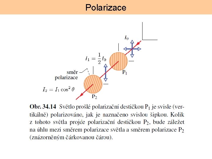 Polarizace 