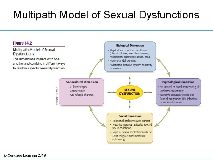 Multipath Model of Sexual Dysfunctions © Cengage Learning 2016 