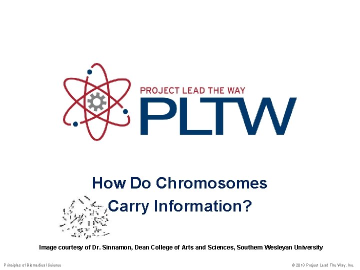 How Do Chromosomes Carry Information? Image courtesy of Dr. Sinnamon, Dean College of Arts