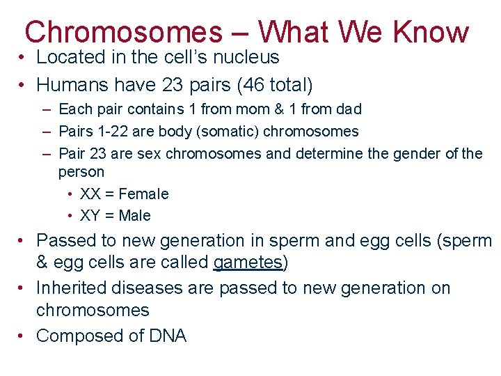 Chromosomes – What We Know • Located in the cell’s nucleus • Humans have