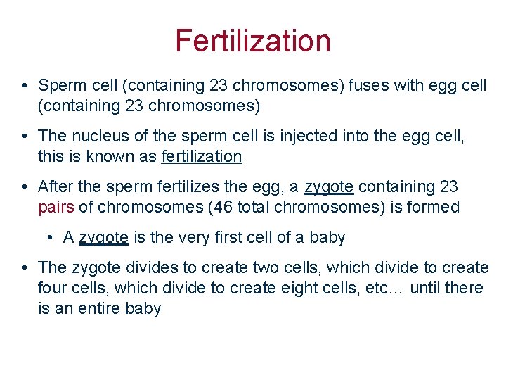 Fertilization • Sperm cell (containing 23 chromosomes) fuses with egg cell (containing 23 chromosomes)