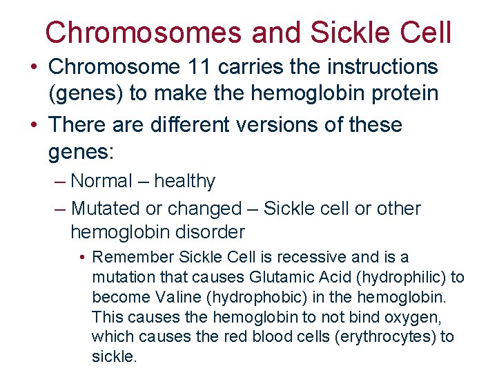 Chromosomes and Sickle Cell • Chromosome 11 carries the instructions (genes) to make the
