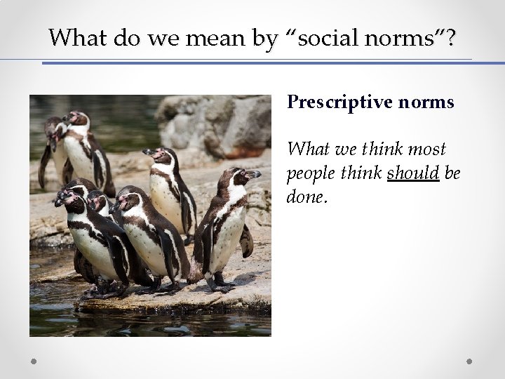 What do we mean by “social norms”? Prescriptive norms What we think most people What do we mean by “social norms”? Prescriptive norms What we think most people