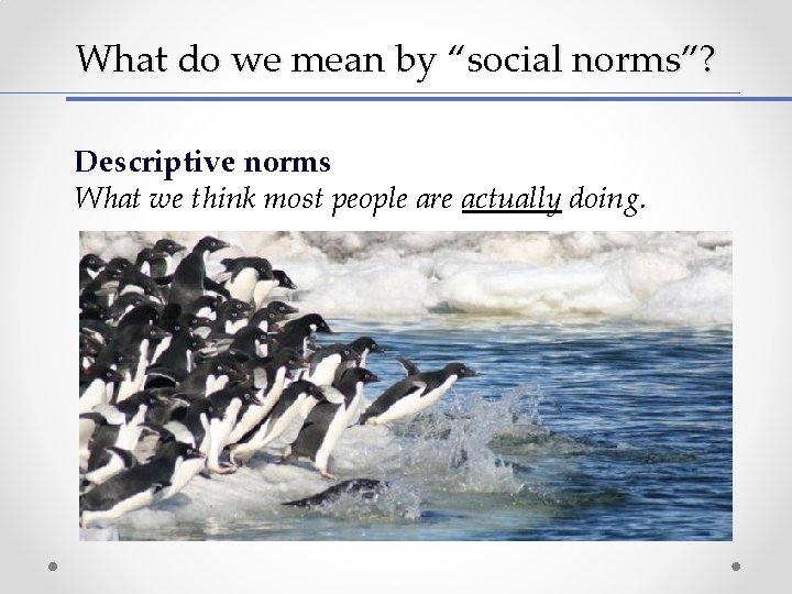 What do we mean by “social norms”? Descriptive norms What we think most people What do we mean by “social norms”? Descriptive norms What we think most people