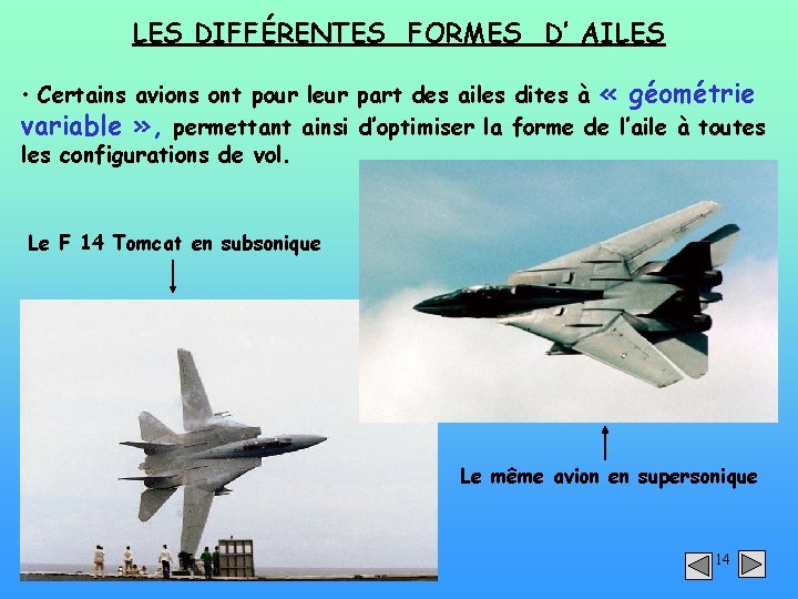 LES DIFFÉRENTES FORMES D’ AILES • Certains avions ont pour leur part des ailes