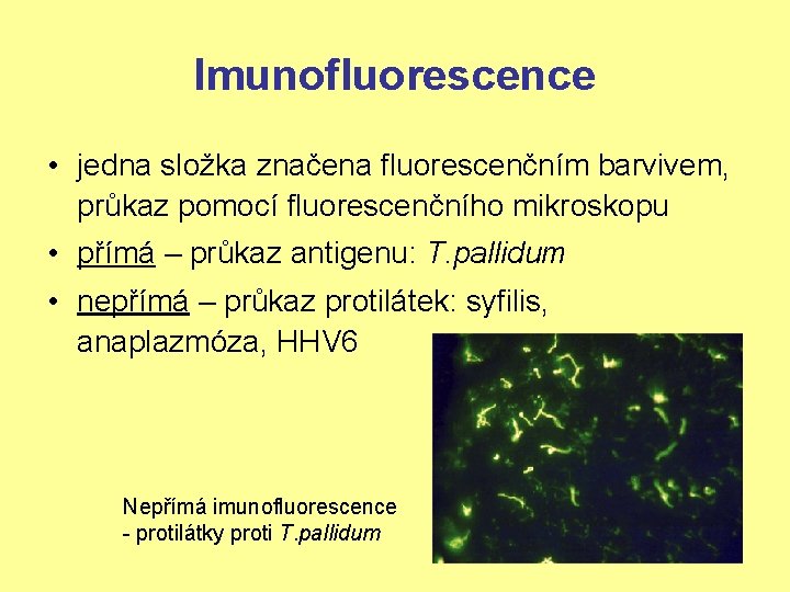 Imunofluorescence • jedna složka značena fluorescenčním barvivem, průkaz pomocí fluorescenčního mikroskopu • přímá –