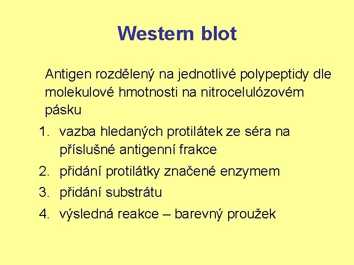 Western blot Antigen rozdělený na jednotlivé polypeptidy dle molekulové hmotnosti na nitrocelulózovém pásku 1.