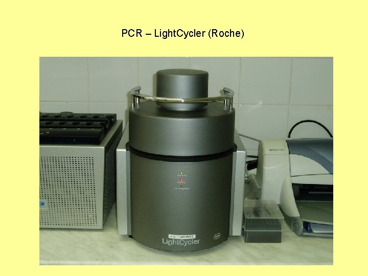PCR – Light. Cycler (Roche) 