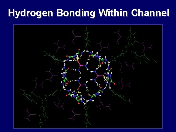 Hydrogen Bonding Within Channel Hydrogen Bonding Within Channel