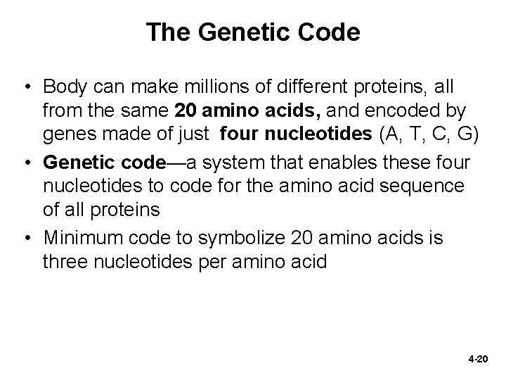 The Genetic Code • Body can make millions of different proteins, all from the