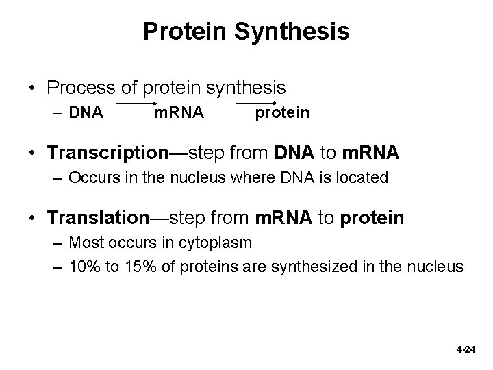 Protein Synthesis • Process of protein synthesis – DNA m. RNA protein • Transcription—step