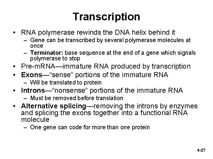 Transcription • RNA polymerase rewinds the DNA helix behind it – Gene can be