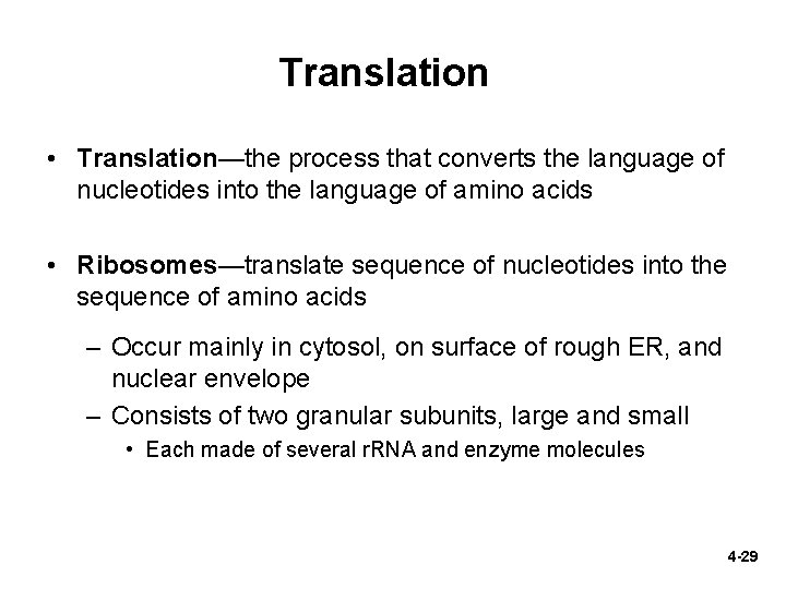 Translation • Translation—the process that converts the language of nucleotides into the language of