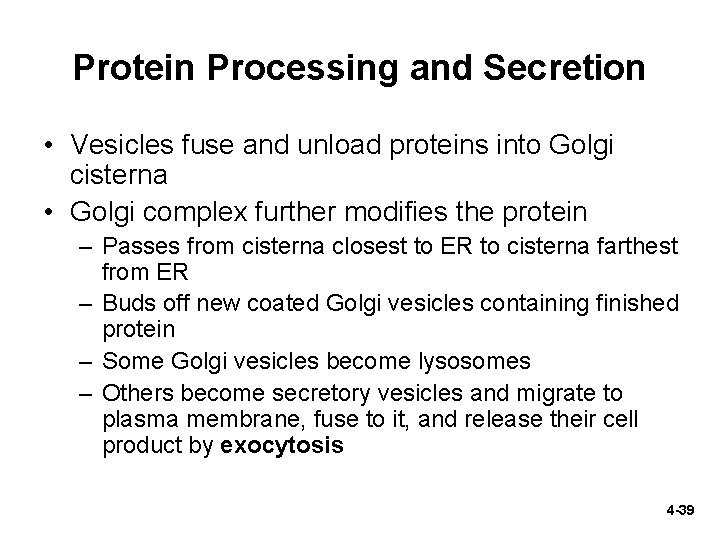 Protein Processing and Secretion • Vesicles fuse and unload proteins into Golgi cisterna •