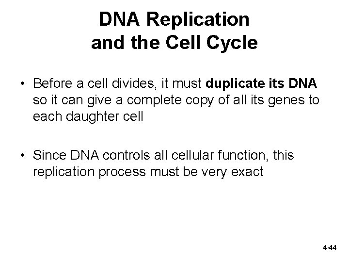 DNA Replication and the Cell Cycle • Before a cell divides, it must duplicate
