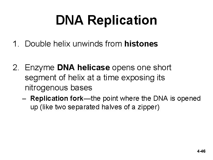 DNA Replication 1. Double helix unwinds from histones 2. Enzyme DNA helicase opens one