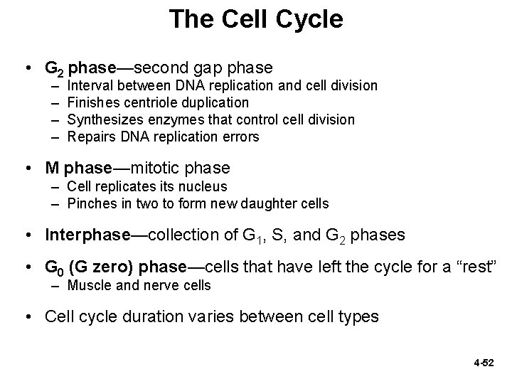The Cell Cycle • G 2 phase—second gap phase – – Interval between DNA