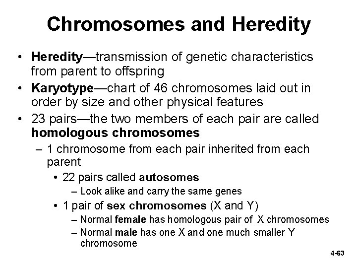 Chromosomes and Heredity • Heredity—transmission of genetic characteristics from parent to offspring • Karyotype—chart