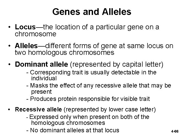 Genes and Alleles • Locus—the location of a particular gene on a chromosome •