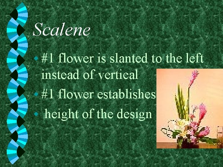 Scalene w #1 flower is slanted to the left instead of vertical w #1