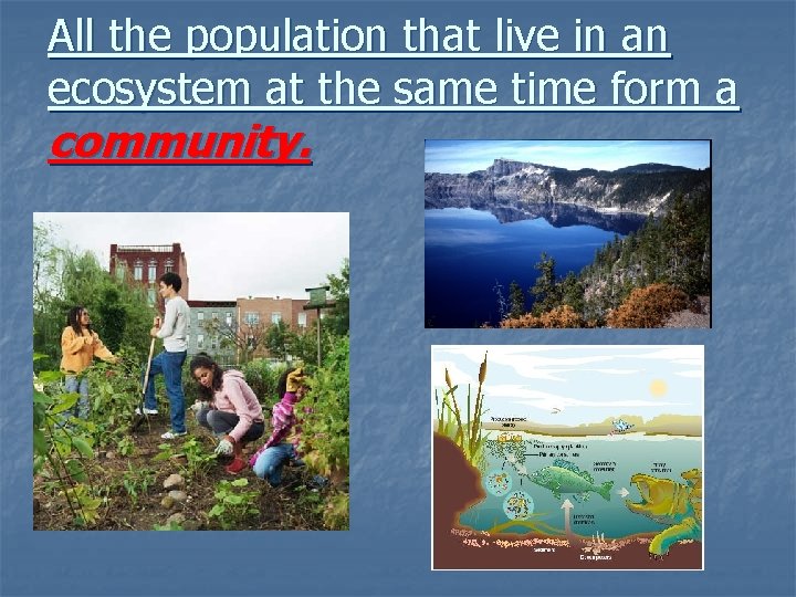 All the population that live in an ecosystem at the same time form a All the population that live in an ecosystem at the same time form a