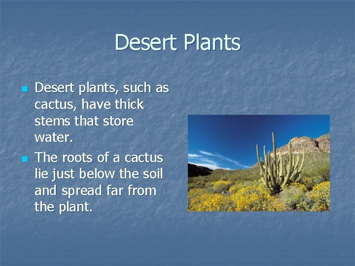 Desert Plants n n Desert plants, such as cactus, have thick stems that store Desert Plants n n Desert plants, such as cactus, have thick stems that store