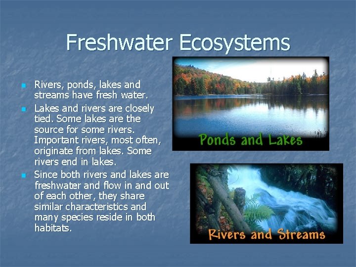Freshwater Ecosystems n n n Rivers, ponds, lakes and streams have fresh water. Lakes Freshwater Ecosystems n n n Rivers, ponds, lakes and streams have fresh water. Lakes