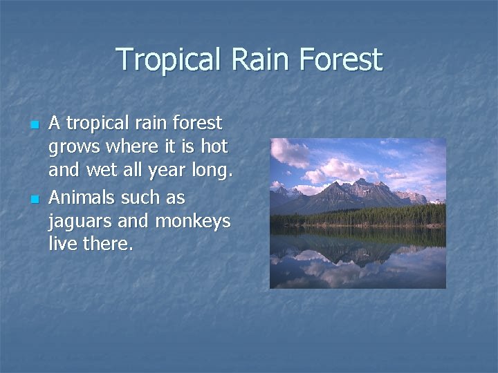 Tropical Rain Forest n n A tropical rain forest grows where it is hot Tropical Rain Forest n n A tropical rain forest grows where it is hot