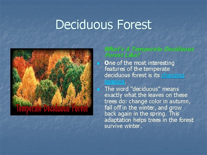Deciduous Forest What's A Temperate Deciduous Forest Like? n n One of the most Deciduous Forest What's A Temperate Deciduous Forest Like? n n One of the most