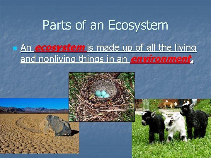 Parts of an Ecosystem n An ecosystem is made up of all the living Parts of an Ecosystem n An ecosystem is made up of all the living