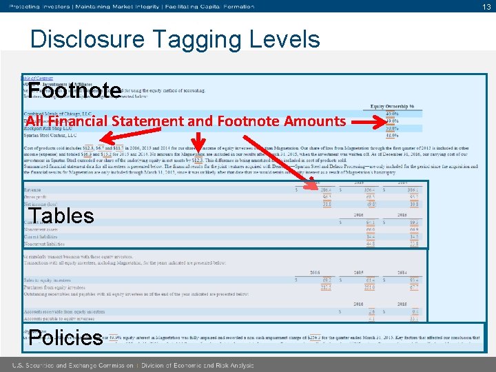 13 Disclosure Tagging Levels Footnote All Financial Statement and Footnote Amounts Tables Policies 