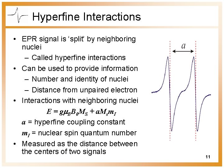 Hyperfine Interactions • EPR signal is ‘split’ by neighboring nuclei – Called hyperfine interactions