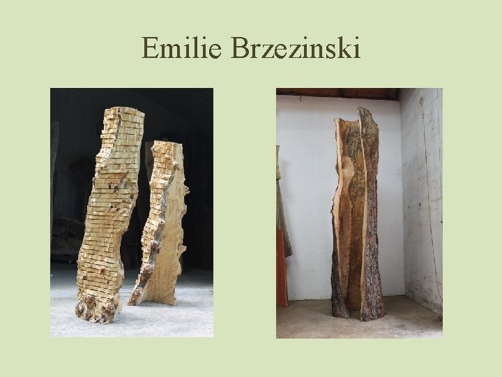 Emilie Brzezinski 