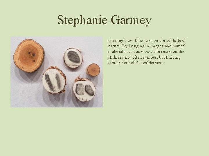 Stephanie Garmey’s work focuses on the solitude of nature. By bringing in images and