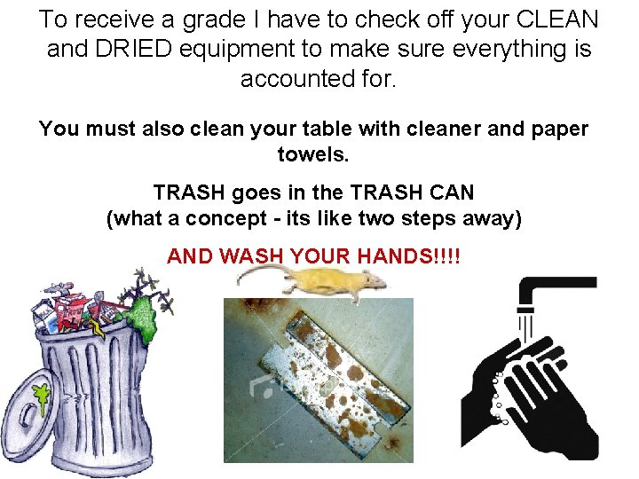 To receive a grade I have to check off your CLEAN and DRIED equipment