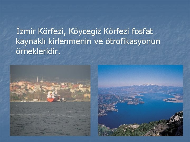  İzmir Körfezi, Köycegiz Körfezi fosfat kaynaklı kirlenmenin ve ötrofikasyonun örnekleridir. 