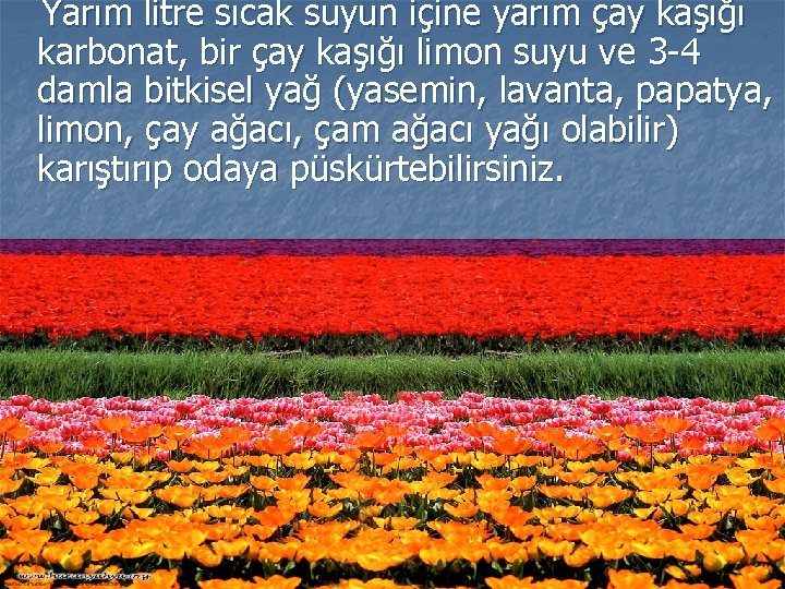  Yarım litre sıcak suyun içine yarım çay kaşığı karbonat, bir çay kaşığı limon