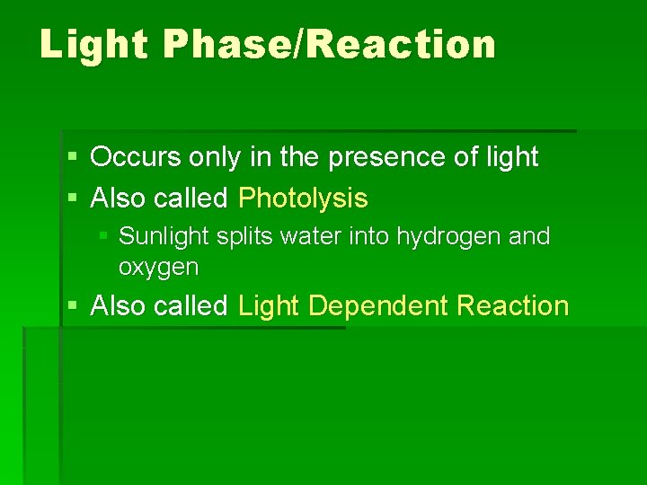 Light Phase/Reaction § Occurs only in the presence of light § Also called Photolysis