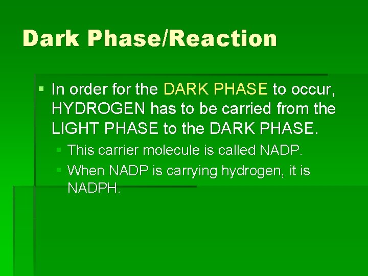 Dark Phase/Reaction § In order for the DARK PHASE to occur, HYDROGEN has to