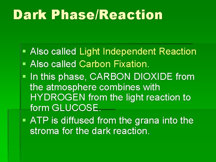 Dark Phase/Reaction § § § Also called Light Independent Reaction Also called Carbon Fixation.