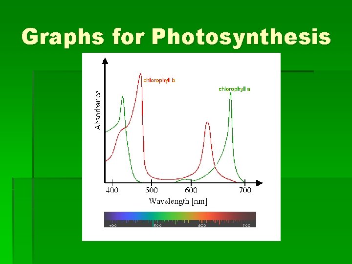 Graphs for Photosynthesis 